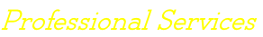 Professional Services